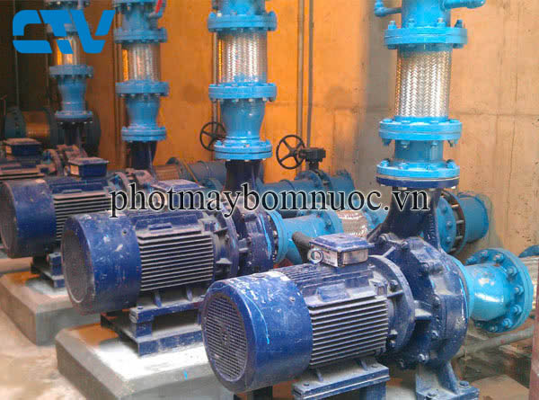 Máy Bơm Đầu Rời Phát Ra Tiếng Ồn Lớn: Nguyên Nhân, Hậu Quả và Cách Khắc Phục